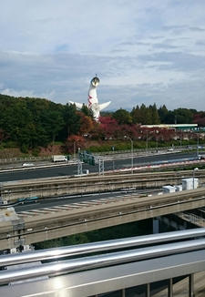 d0035307_1452759.jpg