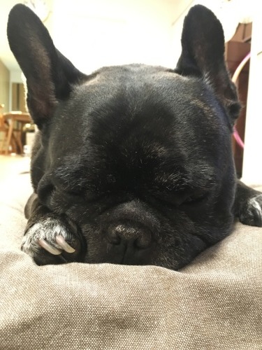 c0113109_23015429.jpeg