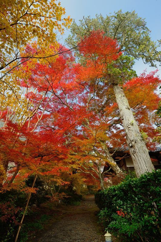 2016京都の紅葉＠亀岡　神蔵寺_f0032011_19524761.jpg