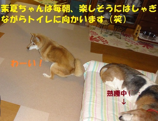 f0121712_08513556.jpg