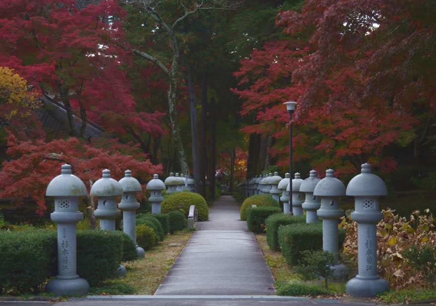 久安寺 の 美しい 紅葉_d0207515_23562542.jpg