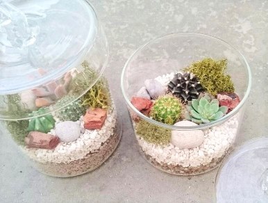 12月の植物ワークショップご案内_d0263815_13143243.jpg