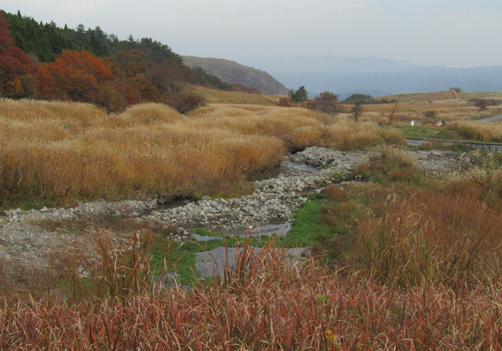 a0329820_09494809.jpg