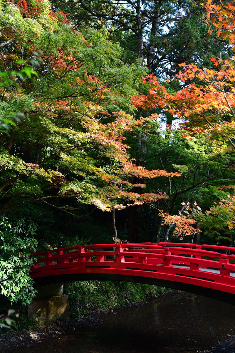 今週の小国神社_c0046520_19542231.jpg