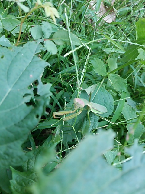 c0150520_23142777.jpg