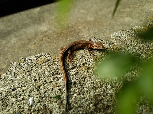c0150520_23152574.jpg
