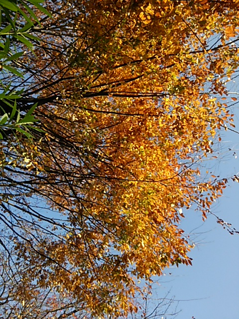 c0150520_23171192.jpg