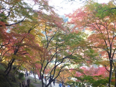f0377520_09341395.jpg