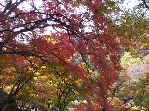 f0377520_09361152.jpg