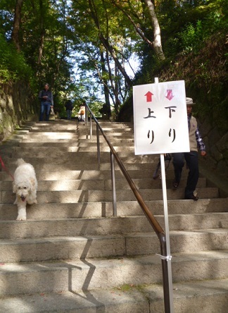 f0377520_09503648.jpg