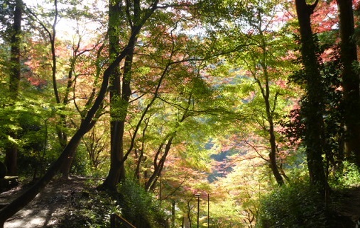 f0377520_09511063.jpg