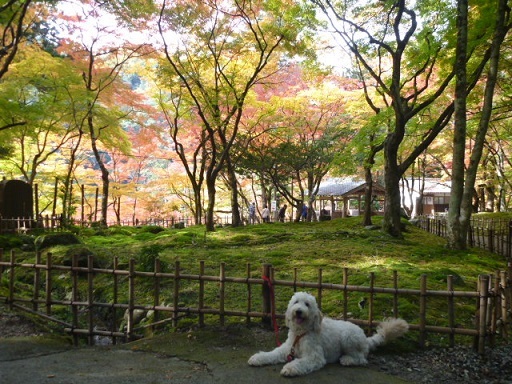 f0377520_10043212.jpg