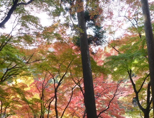 f0377520_10102038.jpg