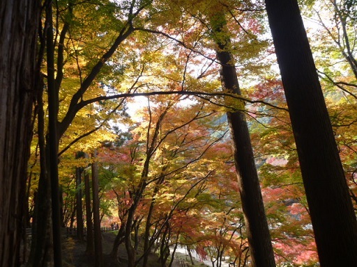 f0377520_10112578.jpg