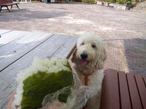 f0377520_10124973.jpg