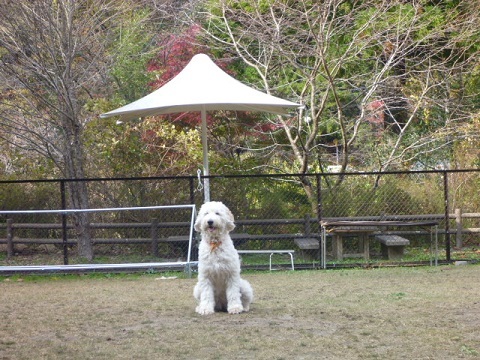 f0377520_10204027.jpg