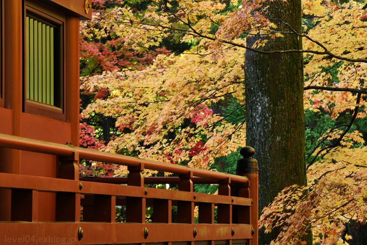 日光 輪王寺 大護摩堂 ～紅葉～ 2_d0319222_924594.jpg