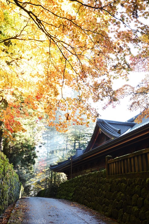 日光 輪王寺 大護摩堂 ～紅葉～ 2_d0319222_9253100.jpg