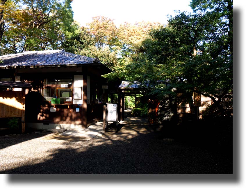 百花園と柴又帝釈天_c0121824_10315714.jpg