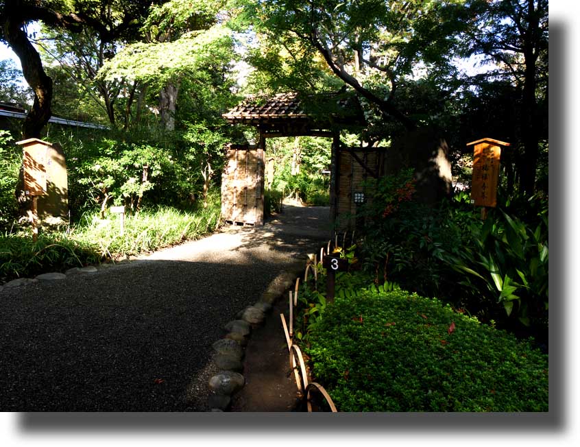 百花園と柴又帝釈天_c0121824_10325747.jpg