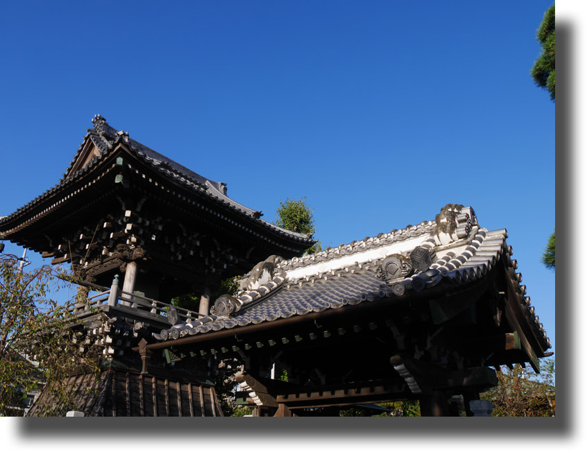 百花園と柴又帝釈天_c0121824_10333374.jpg
