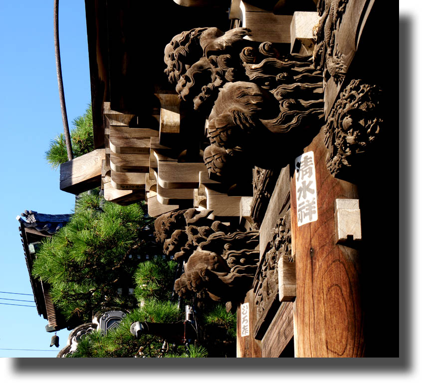 百花園と柴又帝釈天_c0121824_10334781.jpg