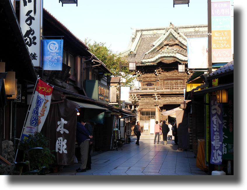百花園と柴又帝釈天_c0121824_10341888.jpg