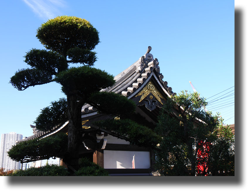 百花園と柴又帝釈天_c0121824_1035376.jpg