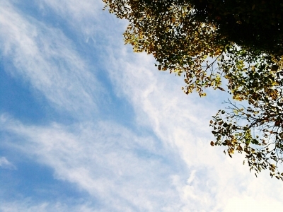 b0211925_07441221.jpg