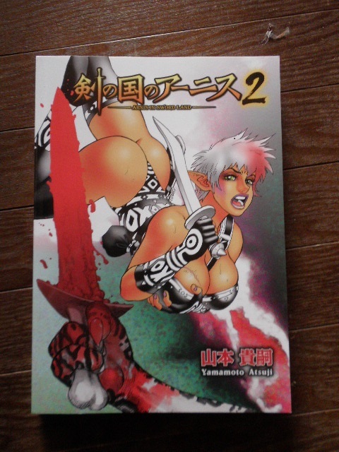 届きました　山本貴嗣　続編マンガ『剣の国のアーニス２』_c0359929_15314569.jpg