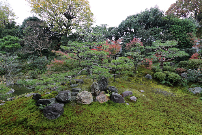 紅葉の建仁寺 －両足院－_b0169330_7141165.jpg