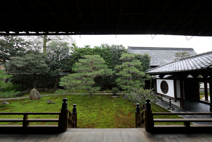 紅葉の建仁寺 －両足院－_b0169330_7143466.jpg