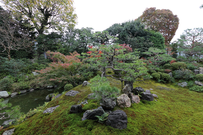 紅葉の建仁寺 －両足院－_b0169330_7143959.jpg