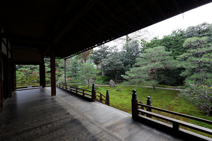 紅葉の建仁寺 －両足院－_b0169330_7144423.jpg