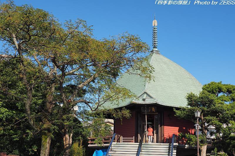 a0195032_22254114.jpg
