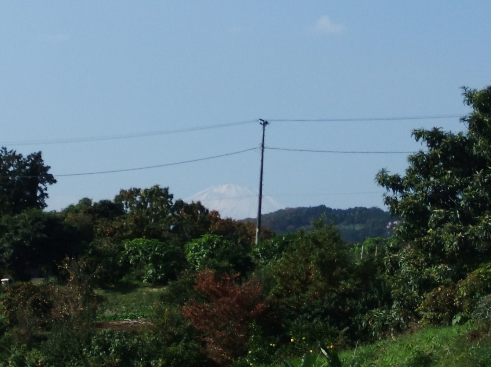 b0137932_19260435.jpg