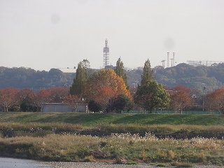c0147935_2103464.jpg