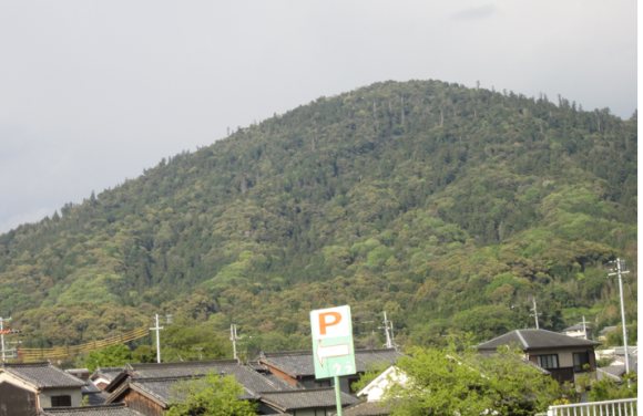 a0237545_10550228.png