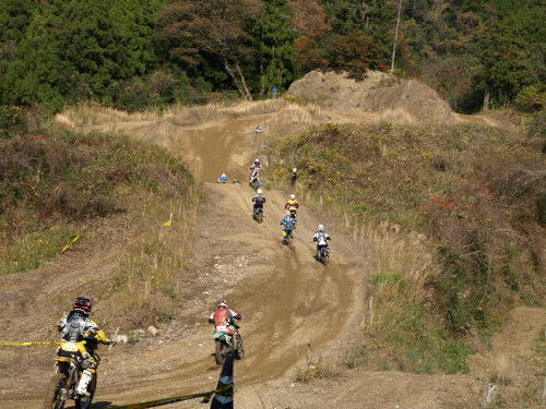 a0045346_16443242.jpg