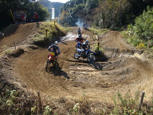 a0045346_16455532.jpg
