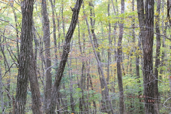 c0332548_21541679.jpg