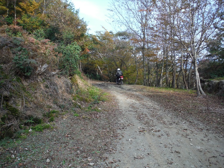 a0237349_19423485.jpg
