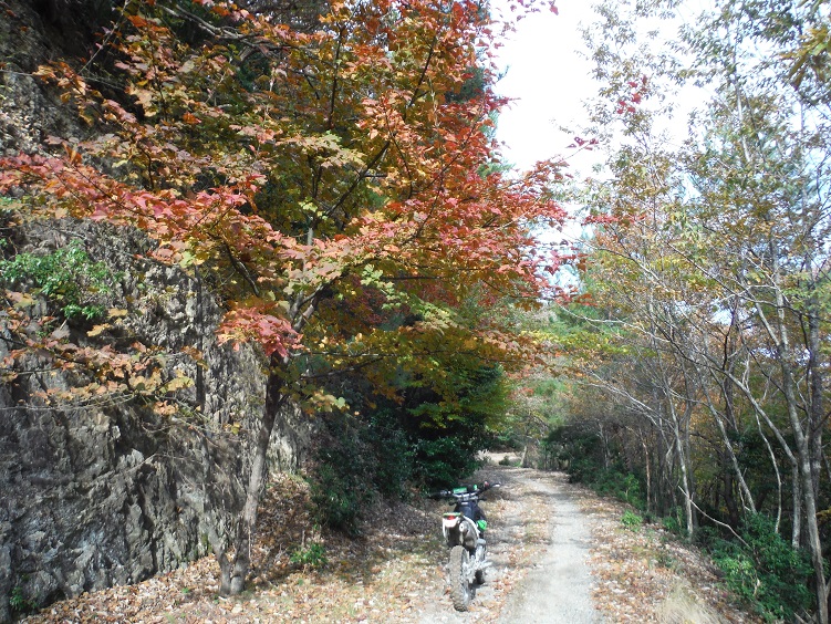 a0237349_19432695.jpg