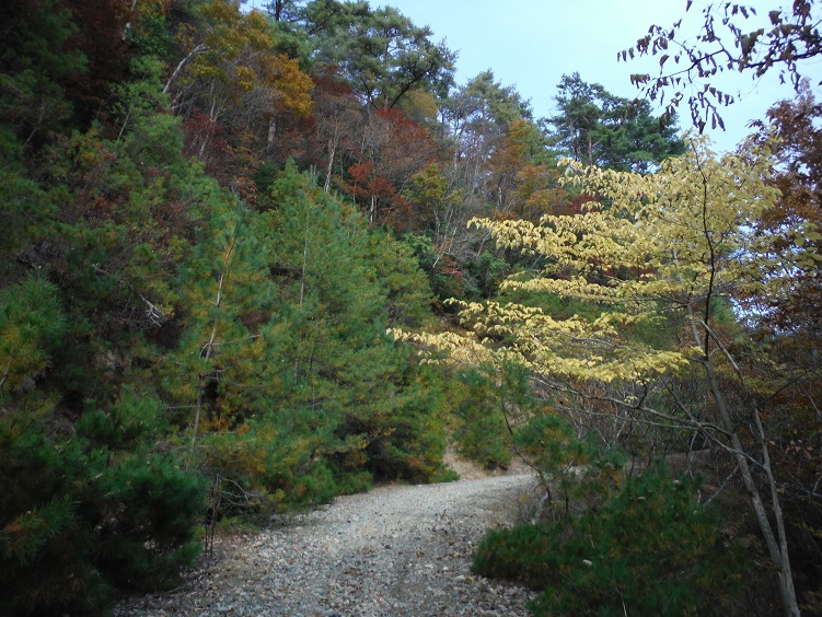 a0237349_19463751.jpg