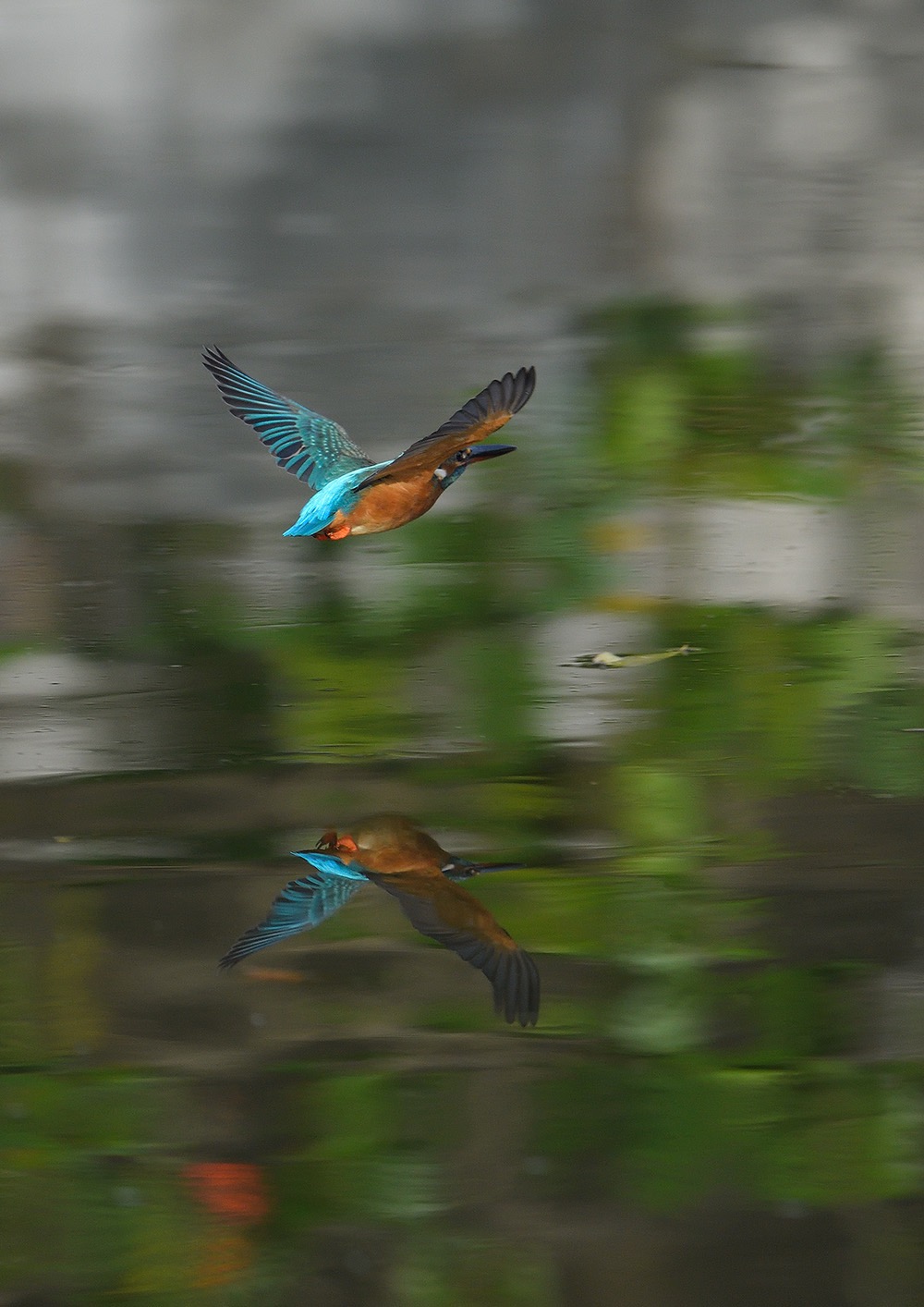 a0164151_1854955.jpg