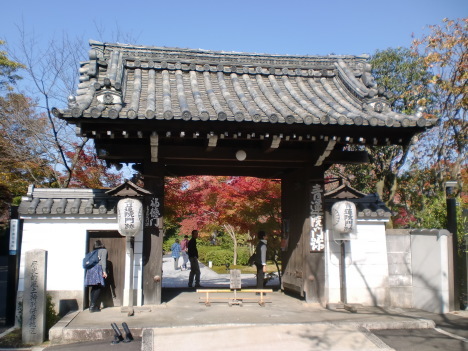 d0154954_10055007.jpg