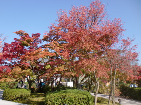 d0154954_10064980.jpg