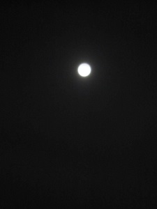 e0090555_1114873.jpg