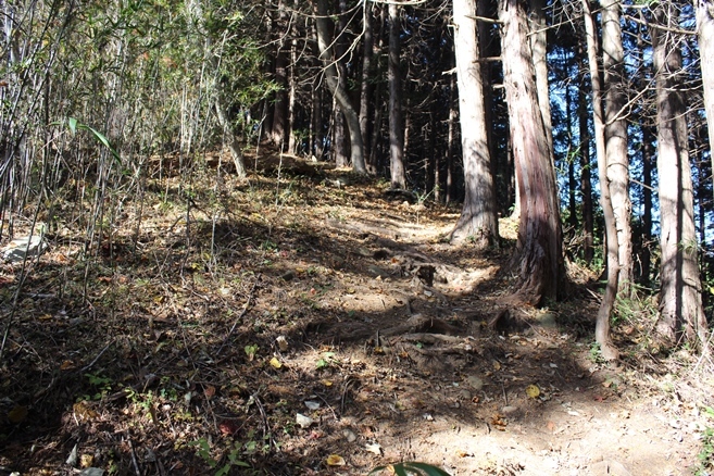 e0239458_22110558.jpg