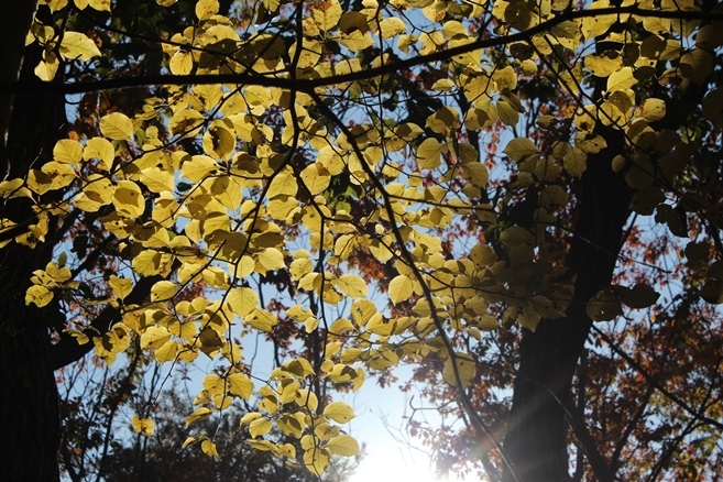 e0239458_22301698.jpg